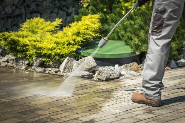 Best Pre-Holiday Cleaning  in Aust, IN
