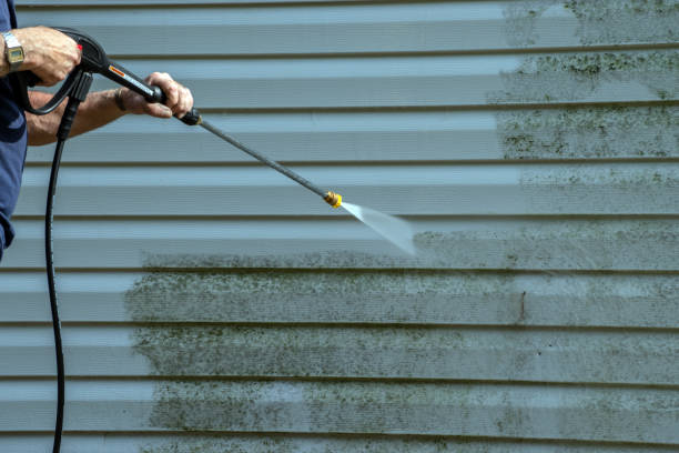 Best Solar Panel Cleaning  in Aust, IN